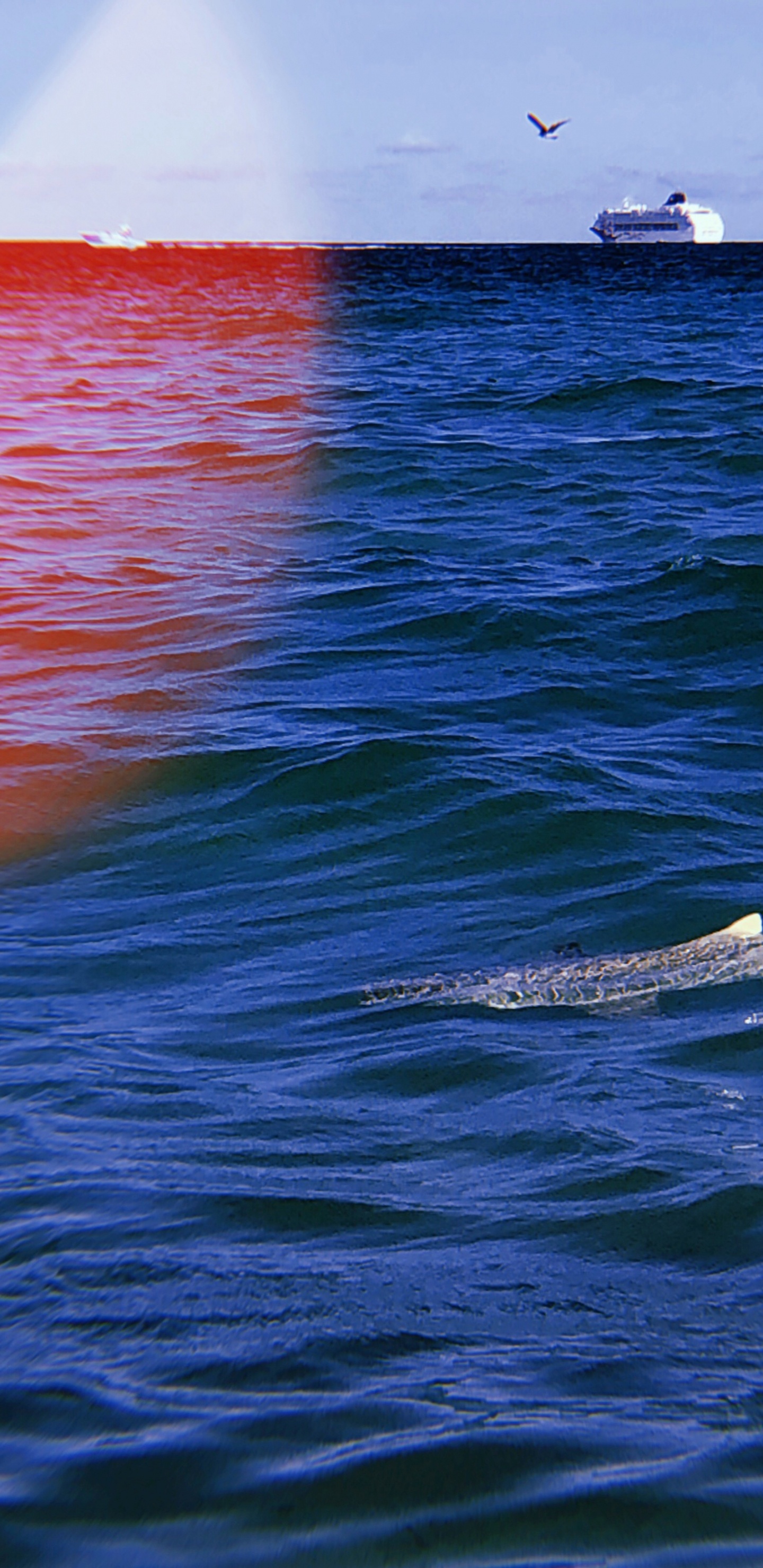 Обои море, океан, жидкость, жидкий, красочность в разрешении 1440x2960