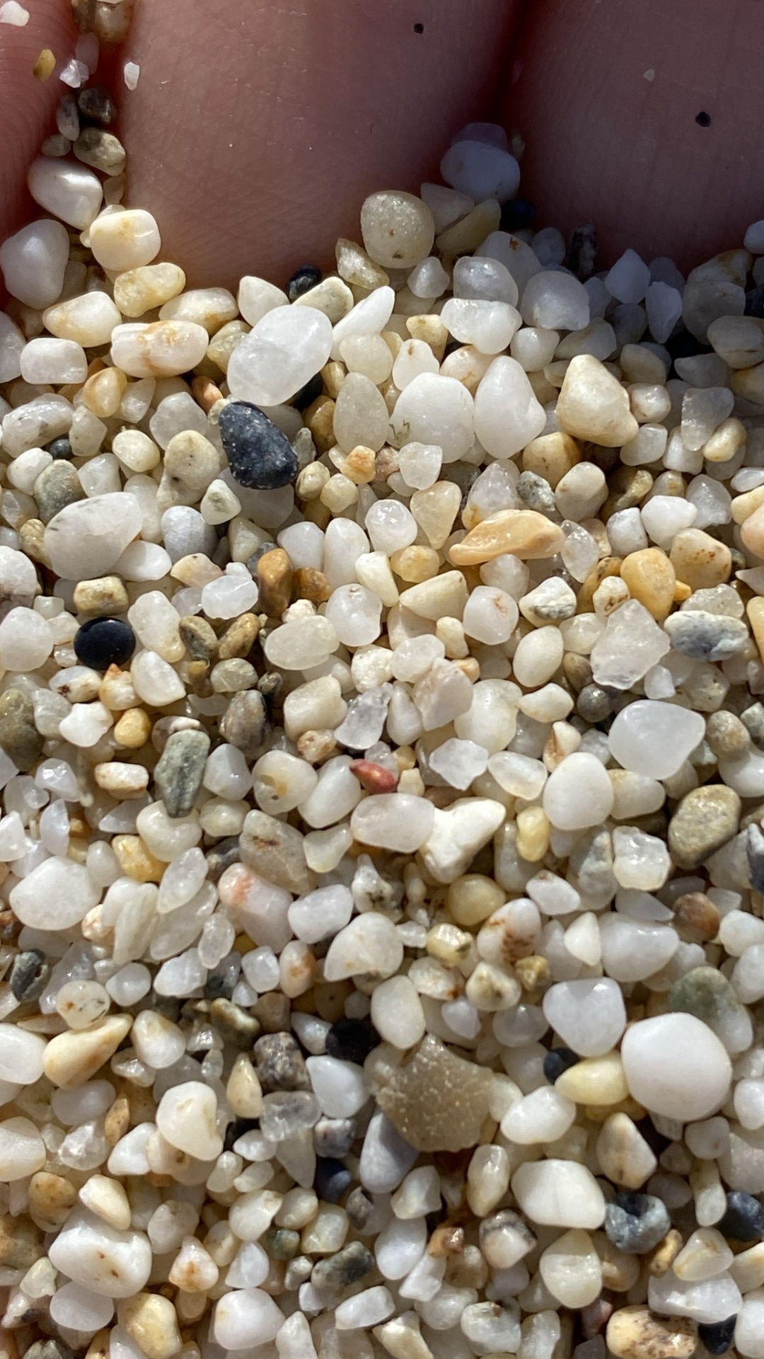 Обои булыжник, химия, наука, растение, жест в разрешении 1080x1920