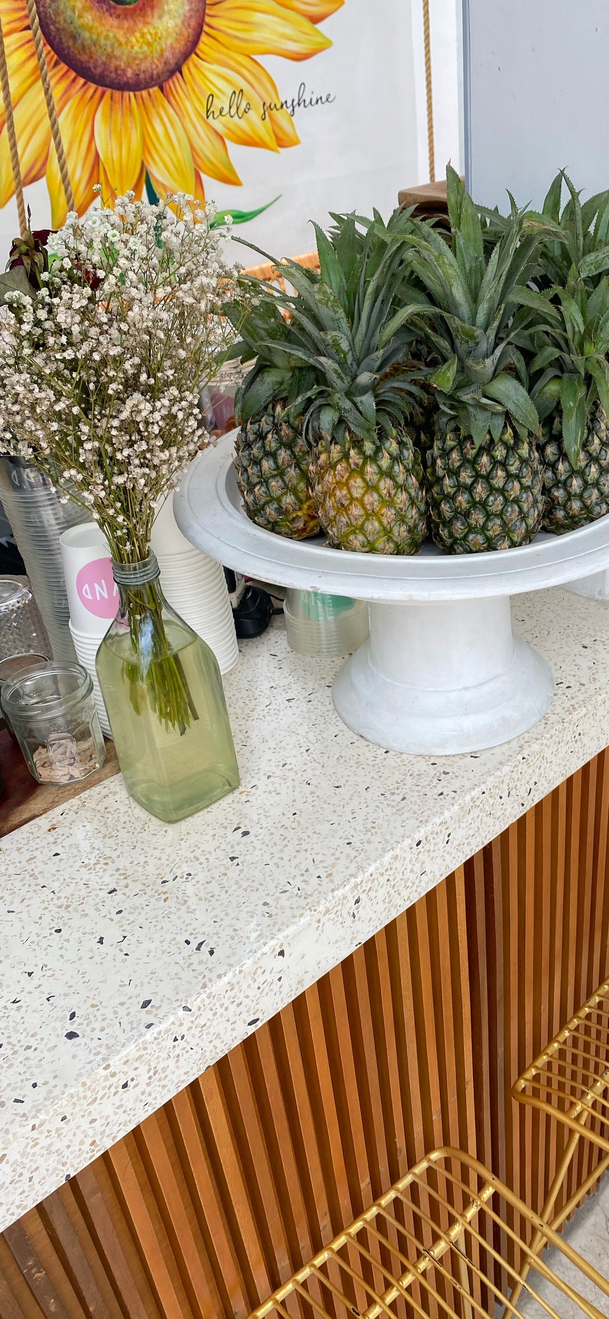 Обои цветочный горшок, биология, наука, ананас, продукция в разрешении 1242x2688