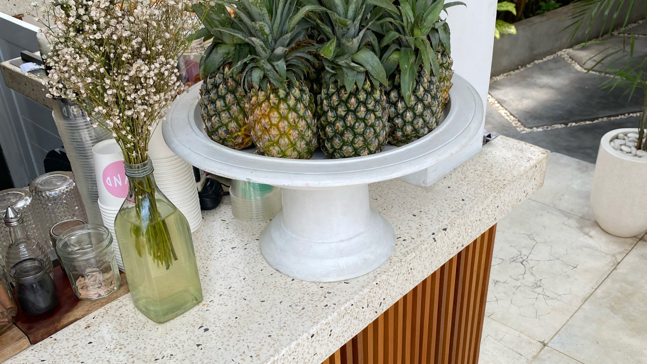 Обои цветочный горшок, биология, наука, ананас, продукция в разрешении 1280x720