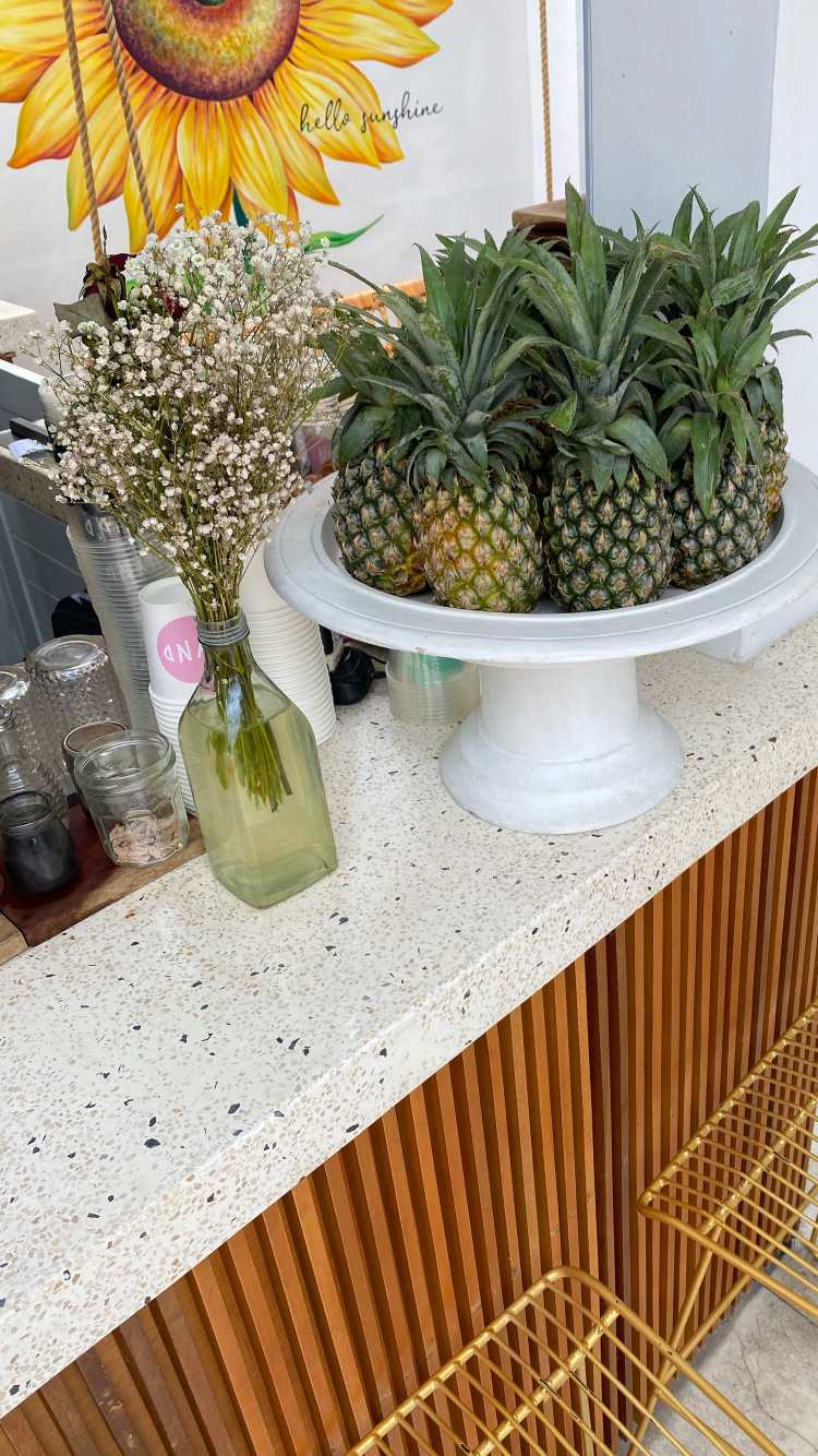 Обои цветочный горшок, биология, наука, ананас, продукция в разрешении 750x1334