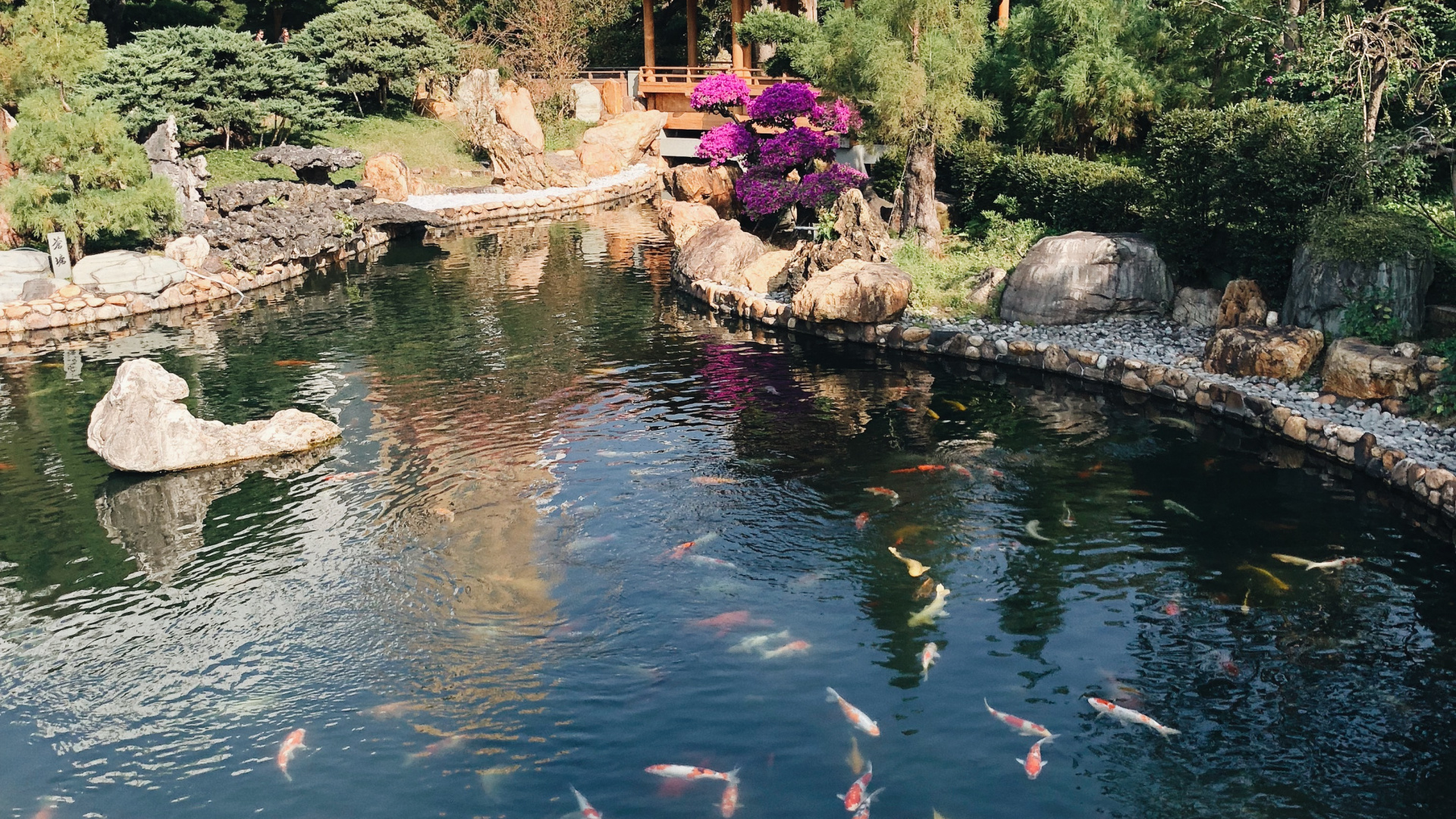 Обои Гонконг, отражение, водоток, гидроресурсы, рыбный пруд в разрешении 1920x1080