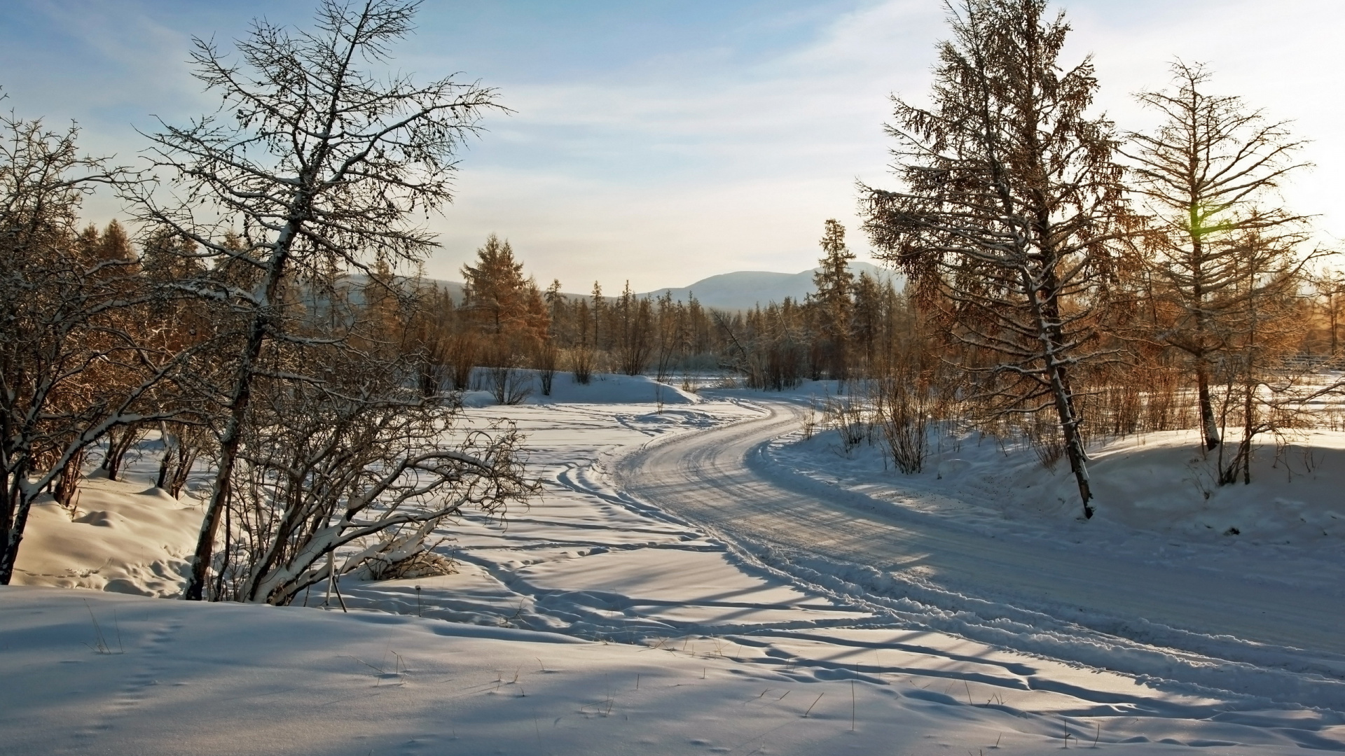 Обои снег, зима, дерево, замораживание, утро в разрешении 1920x1080