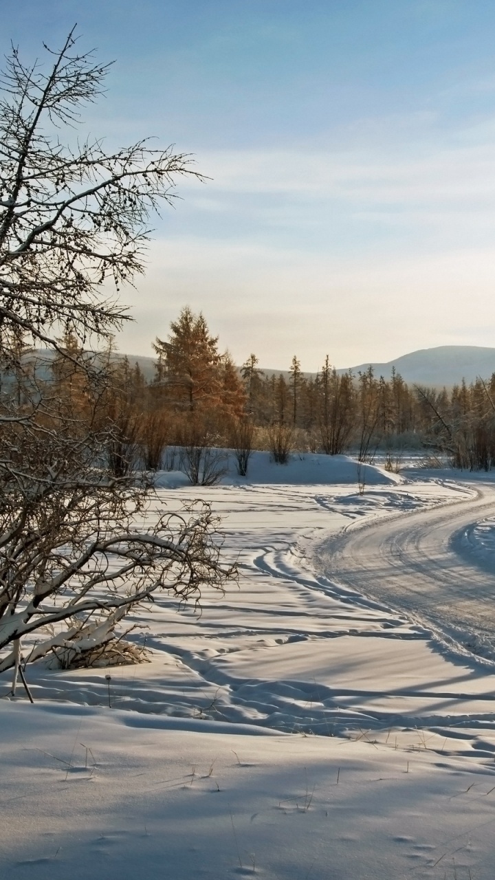 Обои снег, зима, дерево, замораживание, утро в разрешении 720x1280