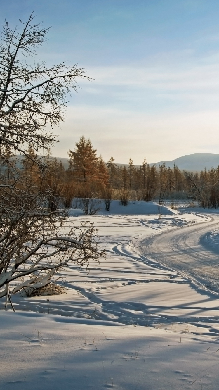 Обои снег, зима, дерево, замораживание, утро в разрешении 750x1334