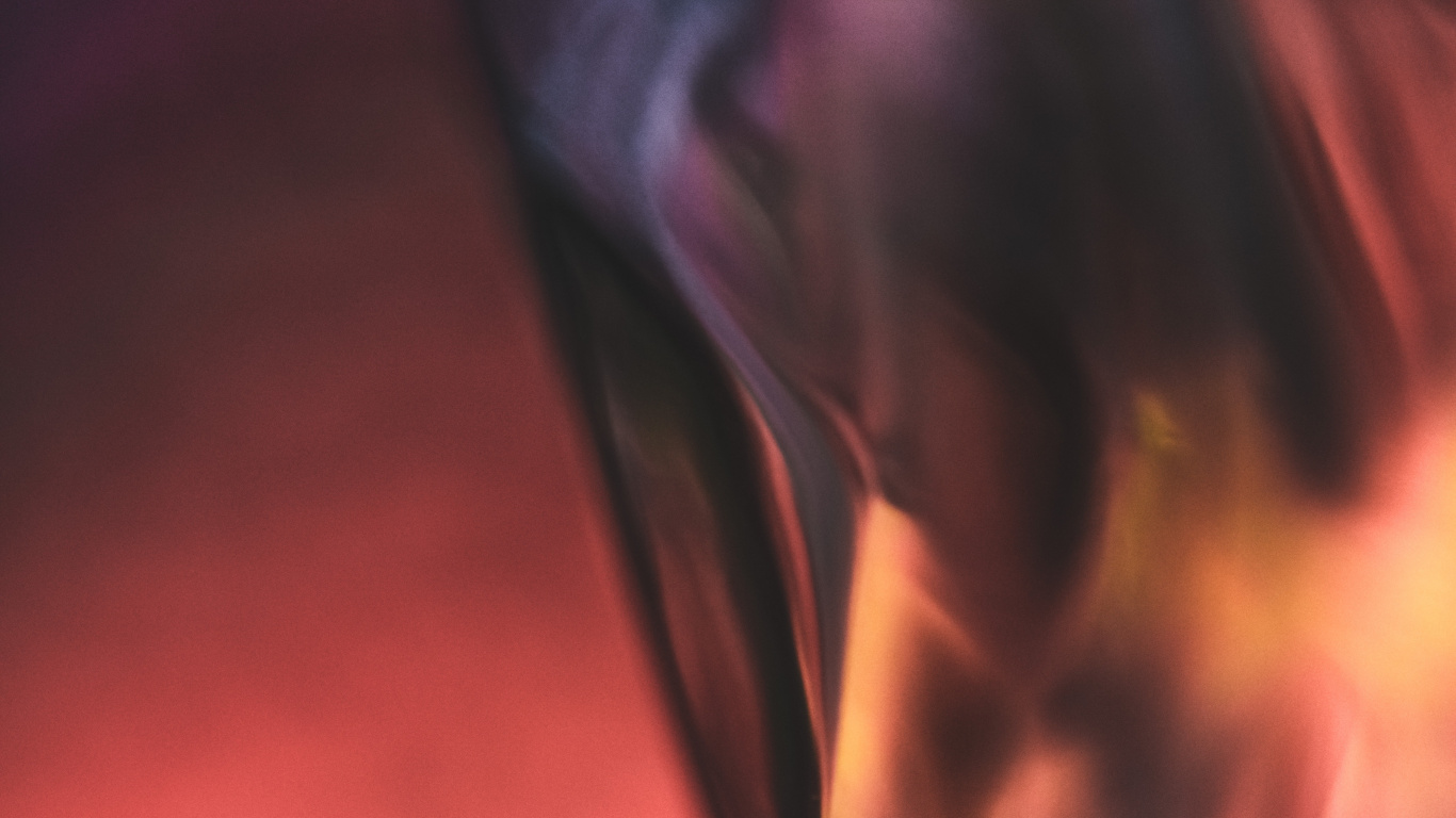 Обои мышца, крупный план, красный цвет, Фиолетовый, коричневый цвет в разрешении 1366x768