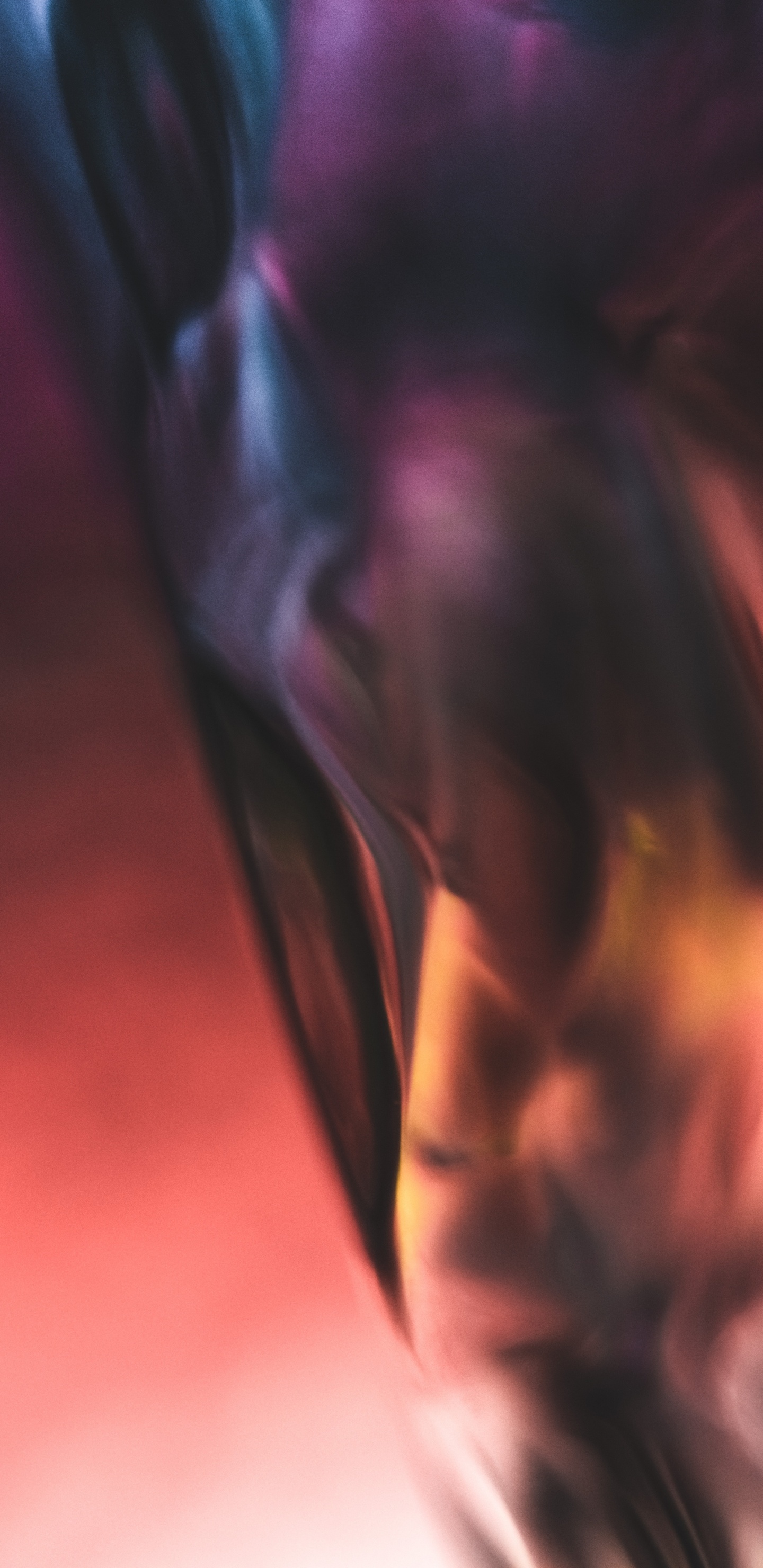 Обои мышца, крупный план, красный цвет, Фиолетовый, коричневый цвет в разрешении 1440x2960