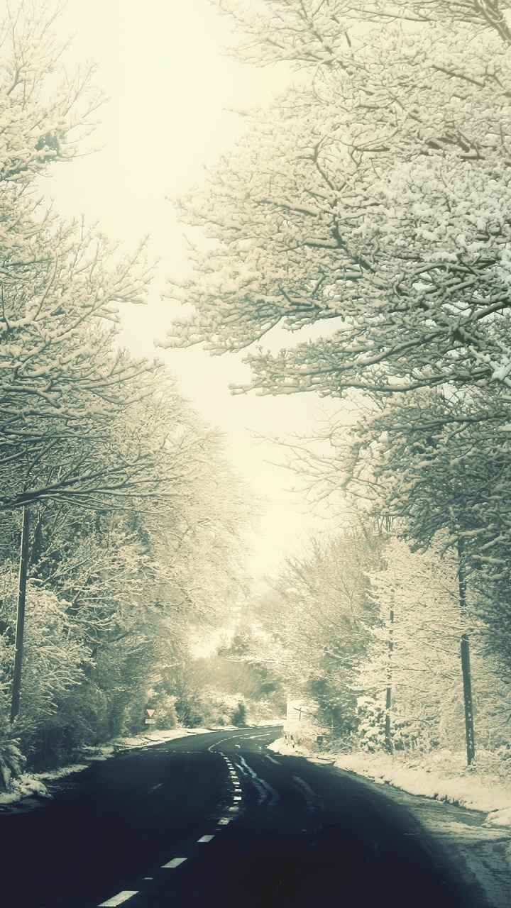 Обои дерево, снег, ветвь, замораживание, мороз в разрешении 720x1280