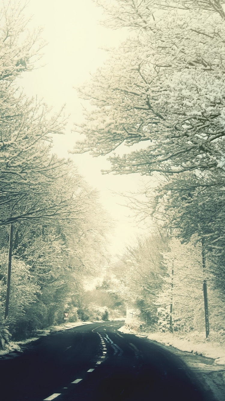 Обои дерево, снег, ветвь, замораживание, мороз в разрешении 750x1334