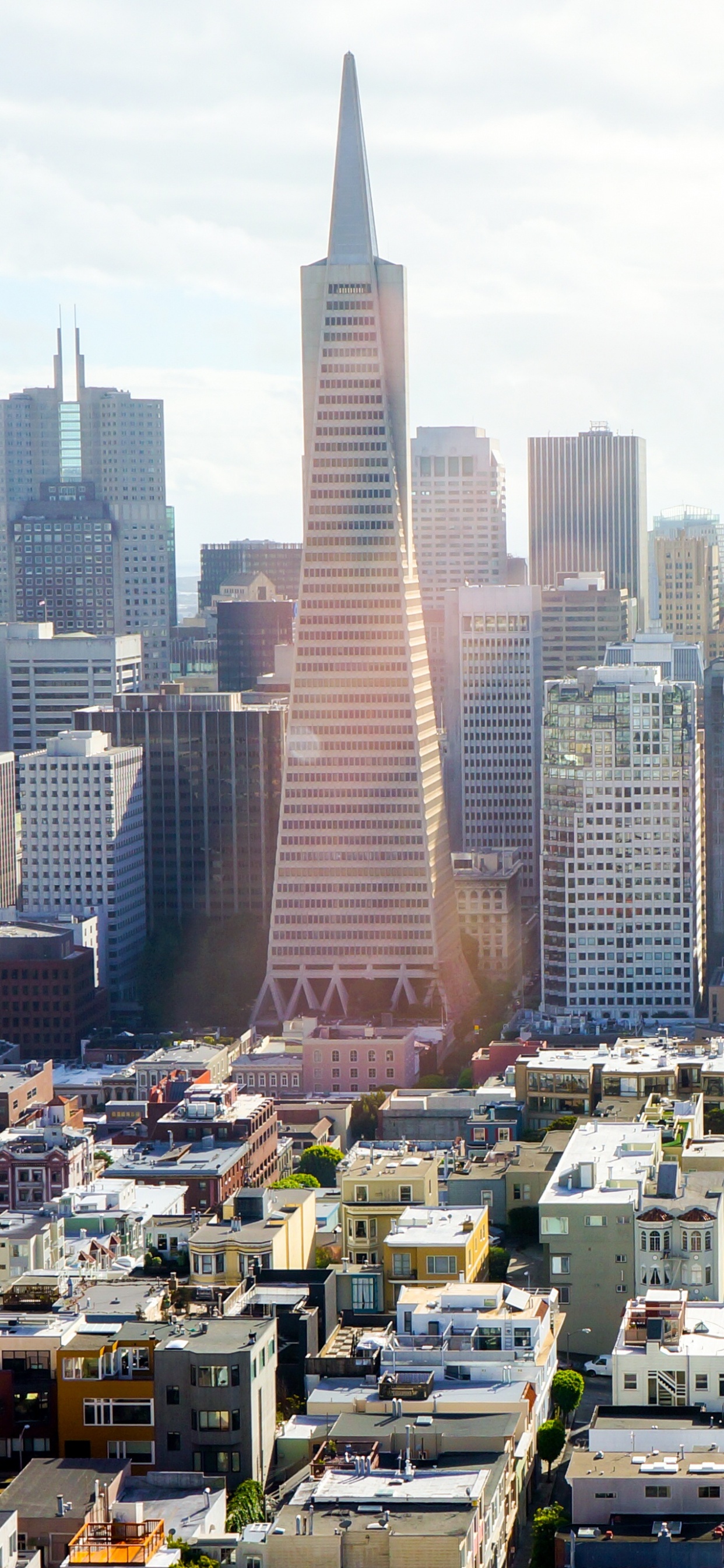 Обои город, городской пейзаж, городской район, метрополия, линия горизонта в разрешении 1242x2688