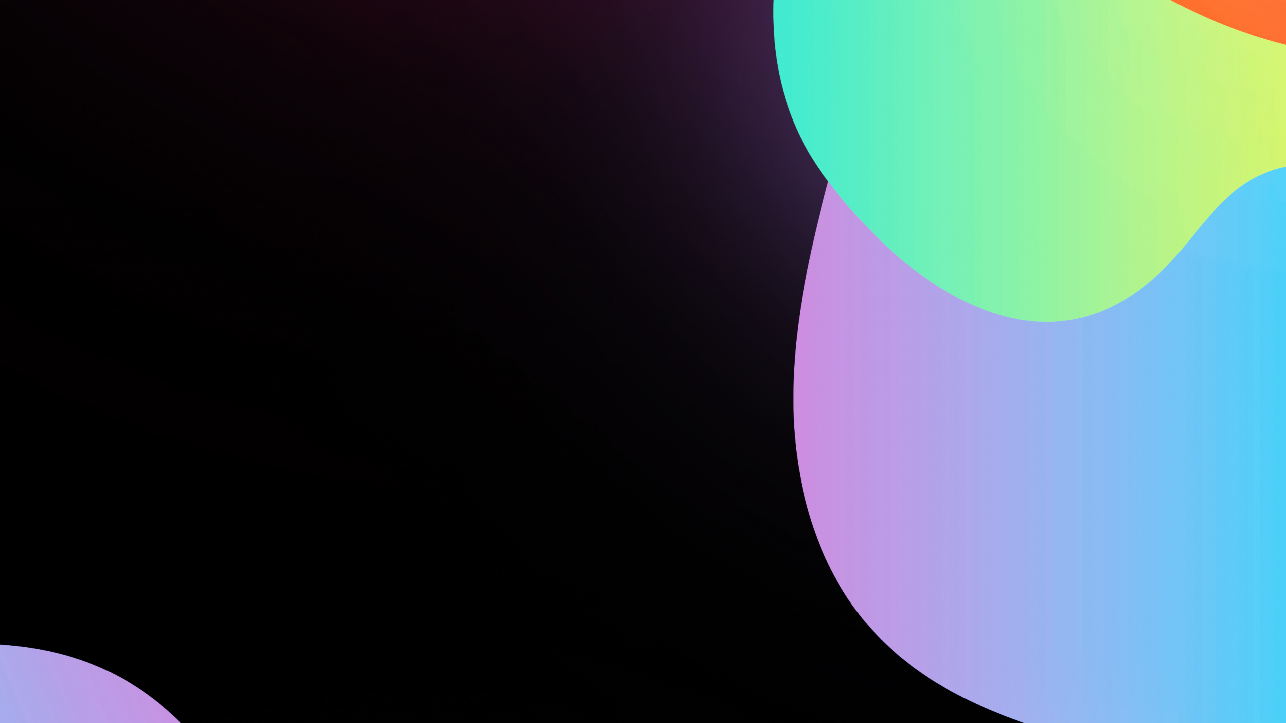 Обои Оранжевый цвет, графический дизайн, дизайн, красочность, белые в разрешении 2560x1440