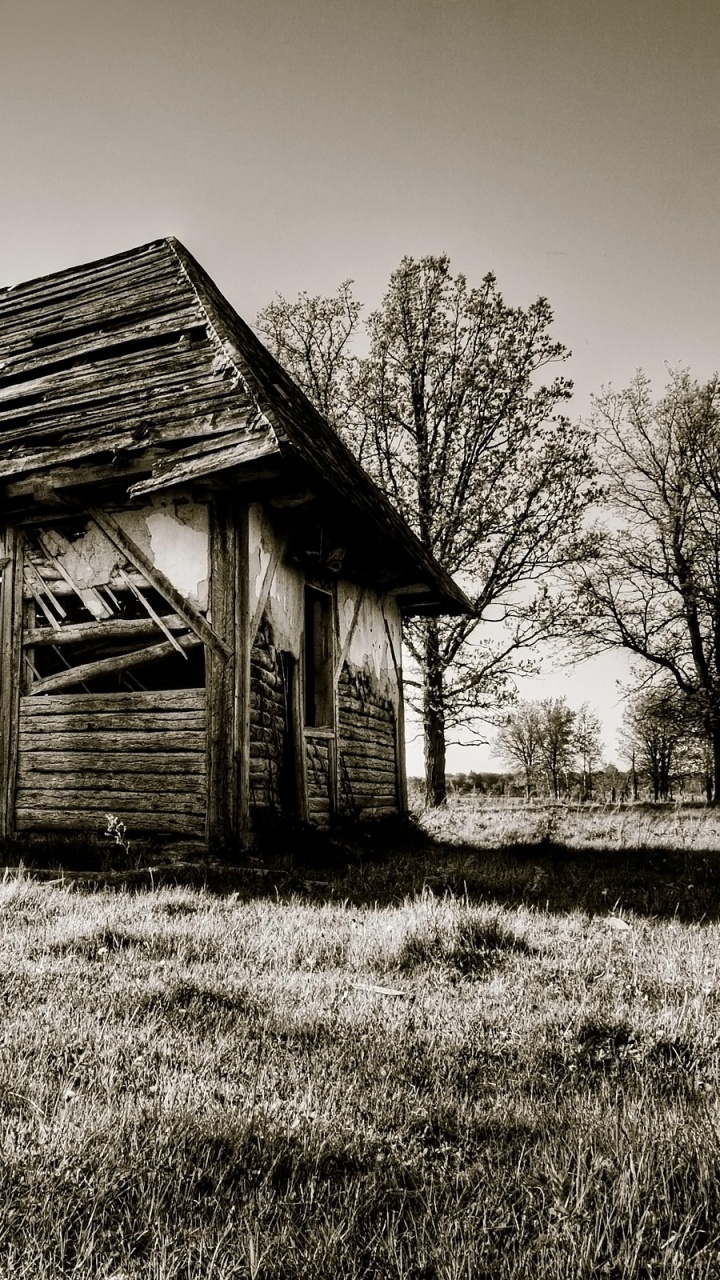 Обои родина, сельский район, дом, бревенчатый домик, сельская местность в разрешении 720x1280