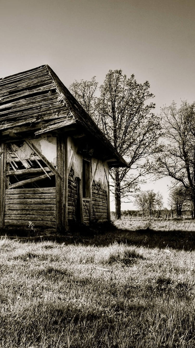 Обои родина, сельский район, дом, бревенчатый домик, сельская местность в разрешении 750x1334