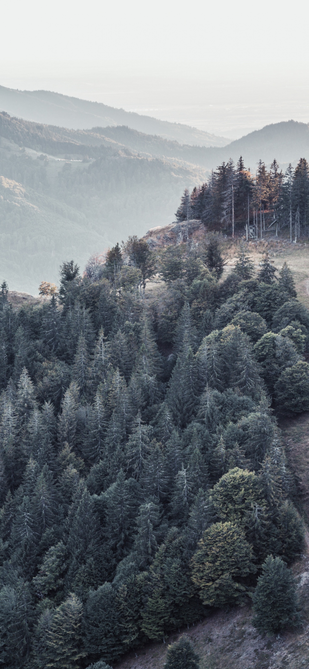 Обои горный хребет, хребет, гора, природа, холм в разрешении 1242x2688