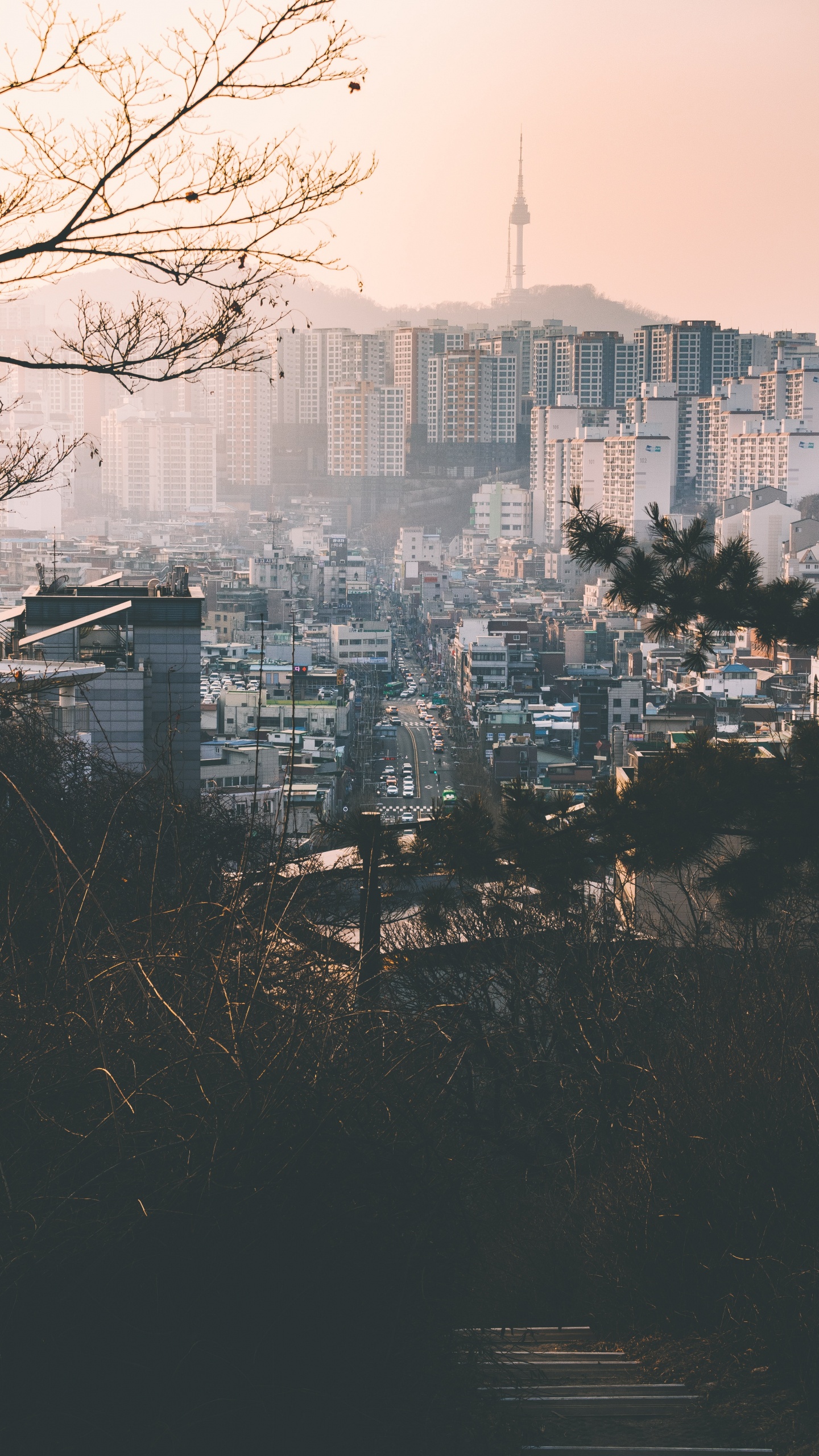 Обои городской район, город, отражение, городской пейзаж, населенный пункт в разрешении 1440x2560