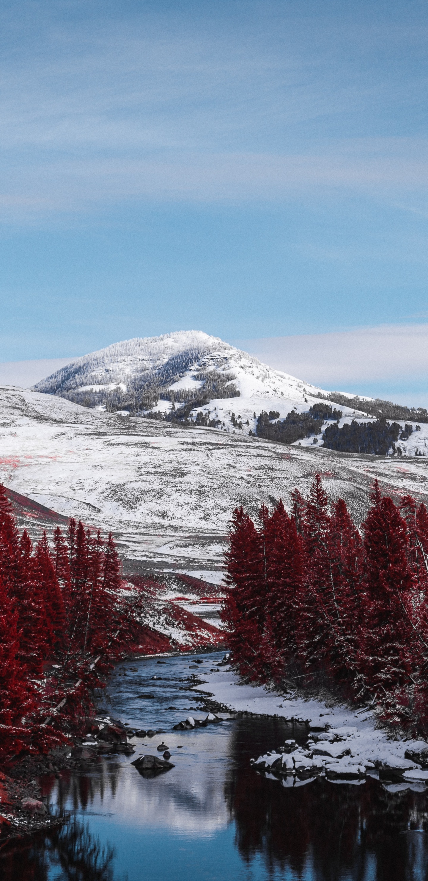 Обои природа, пихта, горный рельеф, природный ландшафт, дерево в разрешении 1440x2960
