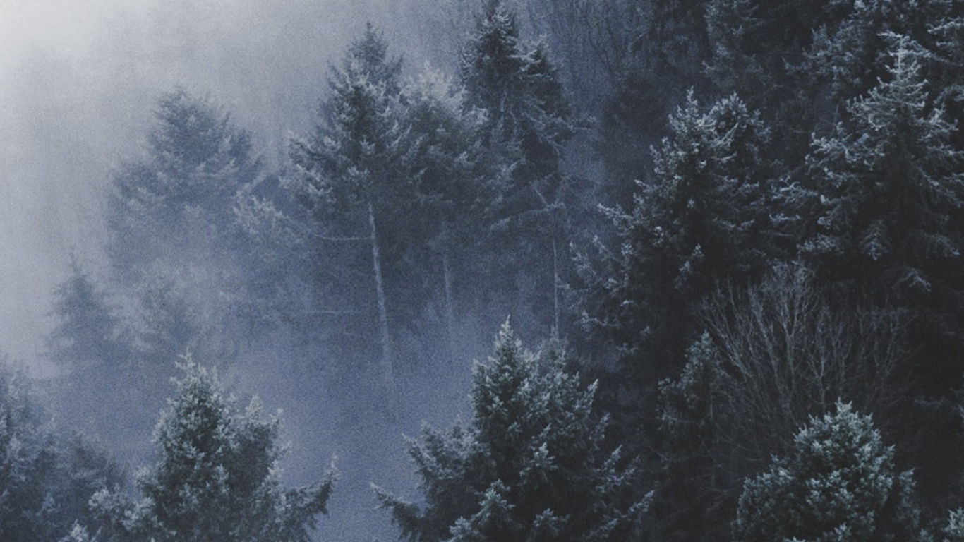 Обои дерево, лес, водоем, зима, горный рельеф в разрешении 1366x768