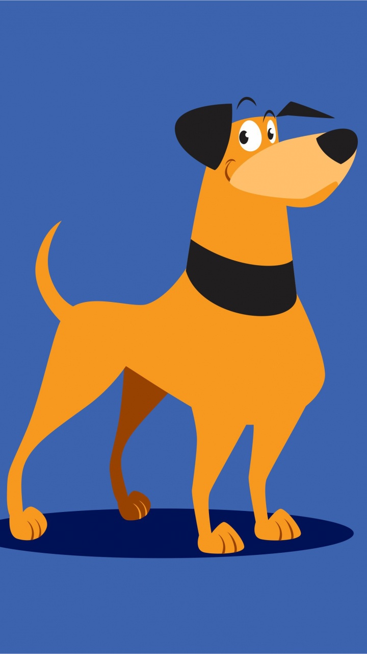 Обои пес, кот, щенок, выгул собак, собака породы в разрешении 720x1280