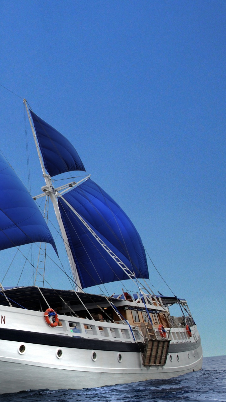 Обои подводное плавание, подводный дайвинг, лодка, перевозка воды, мореплавание в разрешении 720x1280