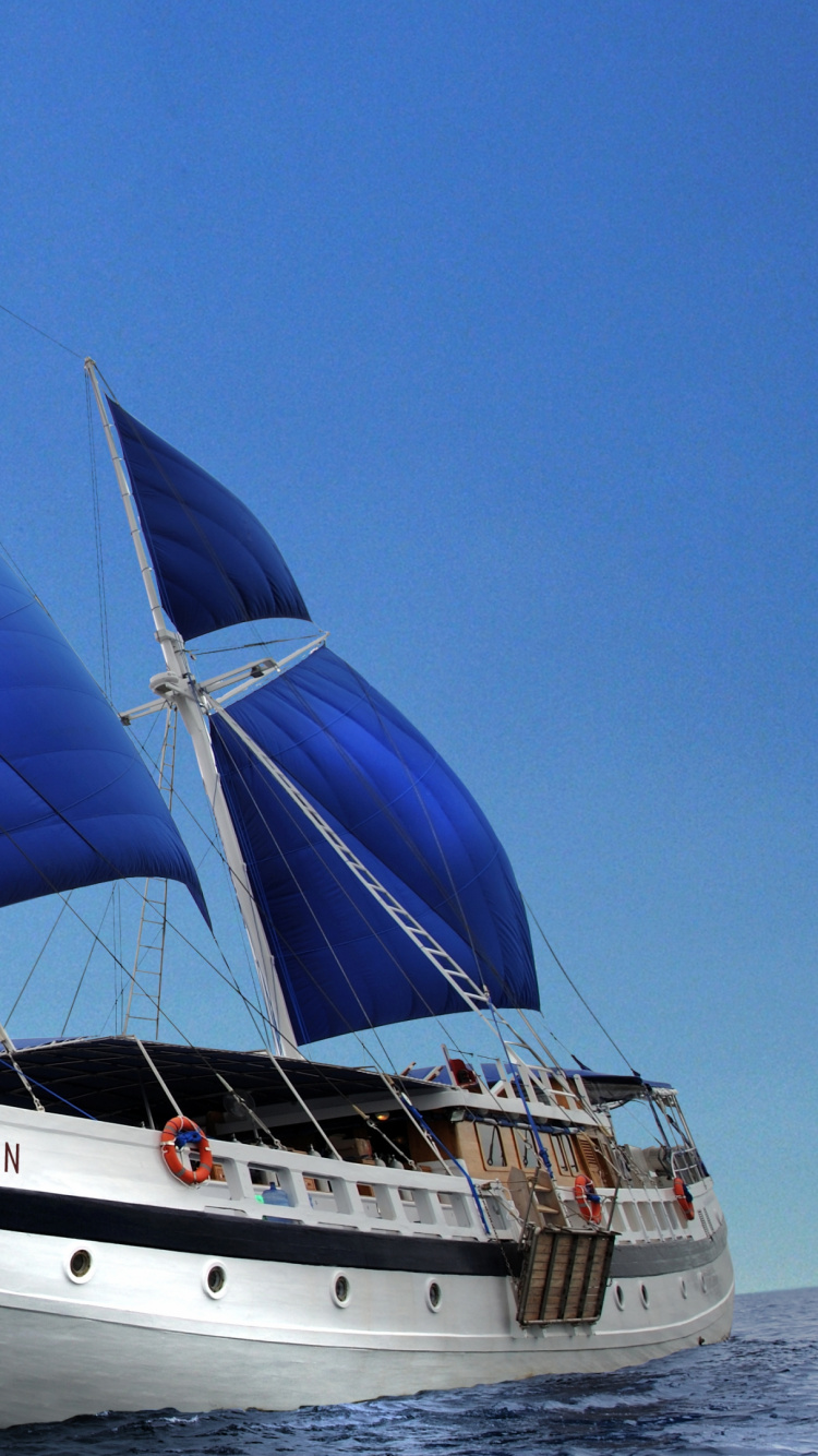 Обои подводное плавание, подводный дайвинг, лодка, перевозка воды, мореплавание в разрешении 750x1334