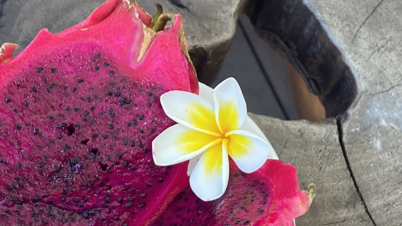 Обои лепесток, цветок, розовый, пурпурный цвет, сладость в разрешении 1366x768