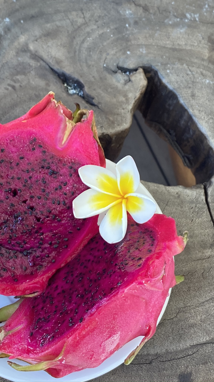 Обои лепесток, цветок, розовый, пурпурный цвет, сладость в разрешении 750x1334