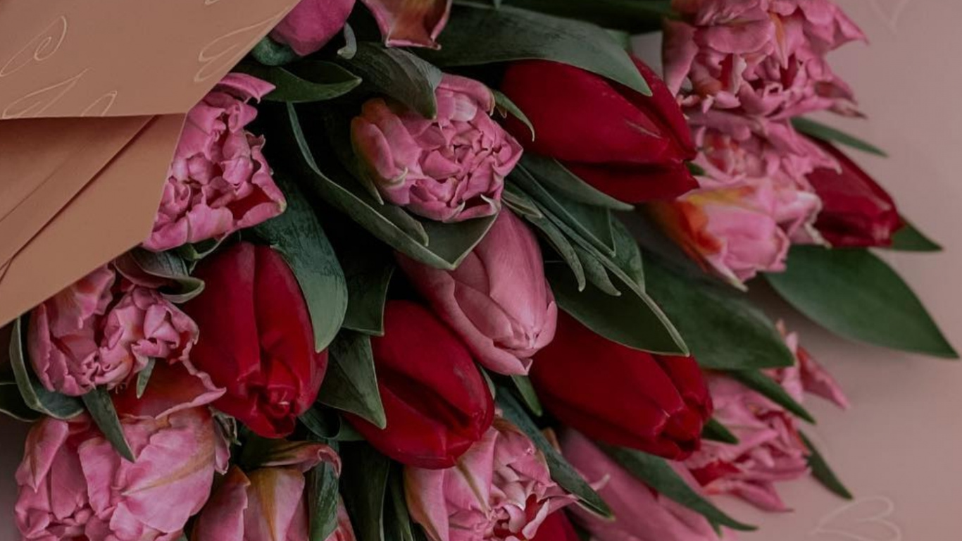 Обои букет, цветок, растение, лепесток, розовый в разрешении 1366x768