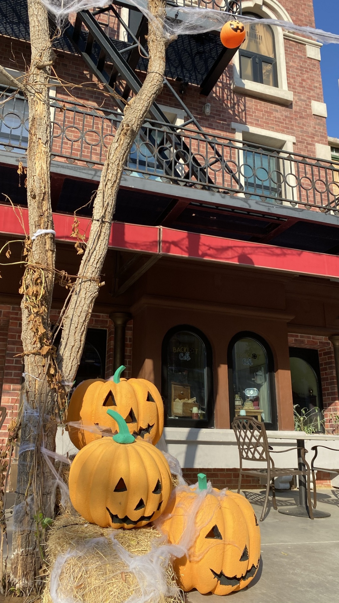 Обои город, калебас, кабачок, овощ, Джек о фонарь в разрешении 1080x1920