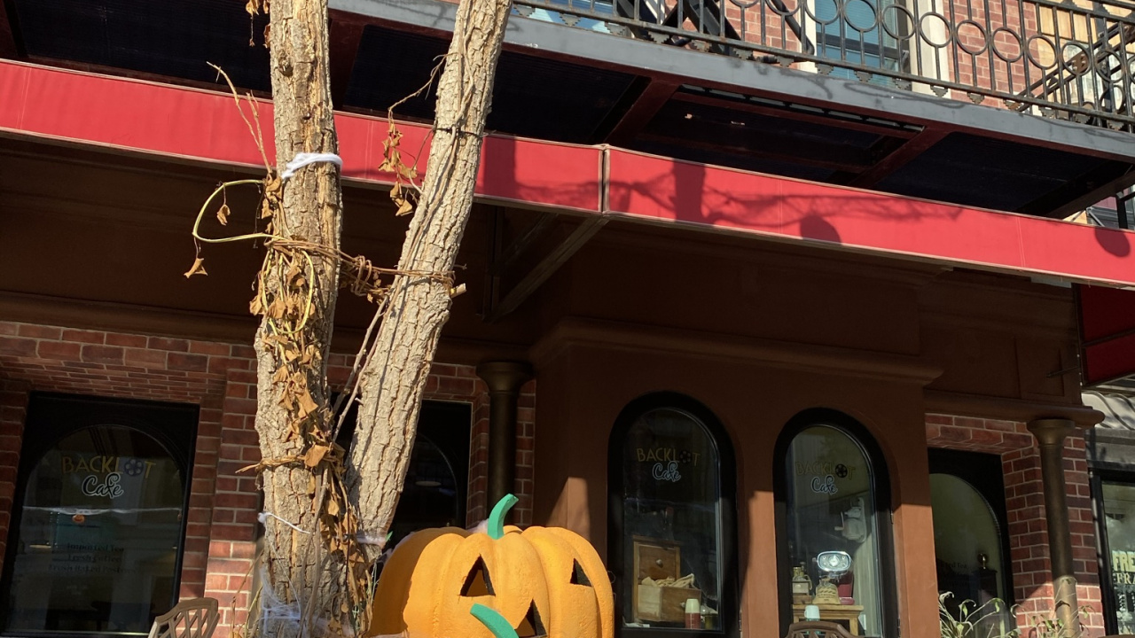 Обои город, калебас, кабачок, овощ, Джек о фонарь в разрешении 1280x720