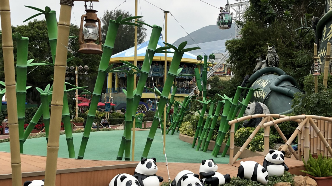 Обои дерево, гигантская панда, поле, электричество, воздушной линии электропередач в разрешении 1366x768