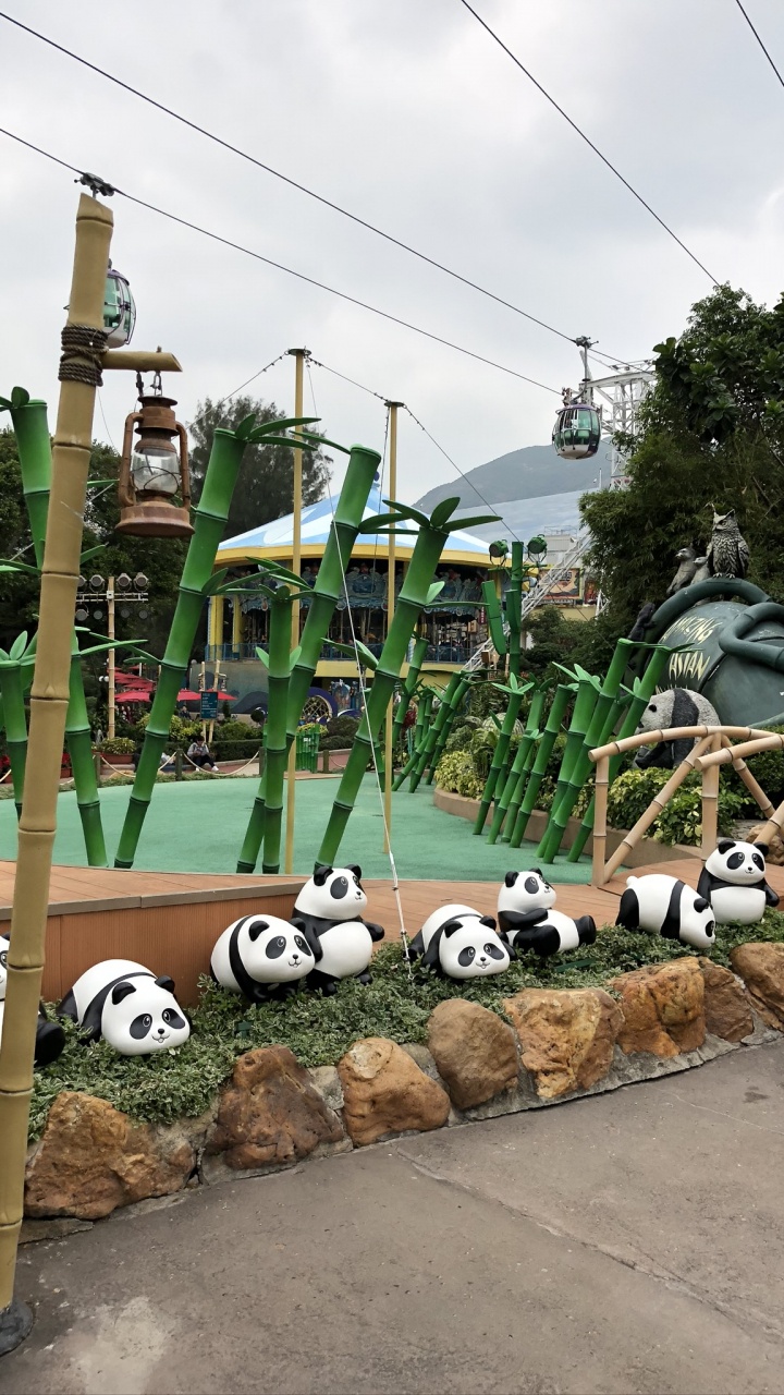 Обои дерево, гигантская панда, поле, электричество, воздушной линии электропередач в разрешении 720x1280