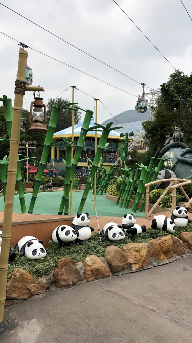 Обои дерево, гигантская панда, поле, электричество, воздушной линии электропередач в разрешении 750x1334