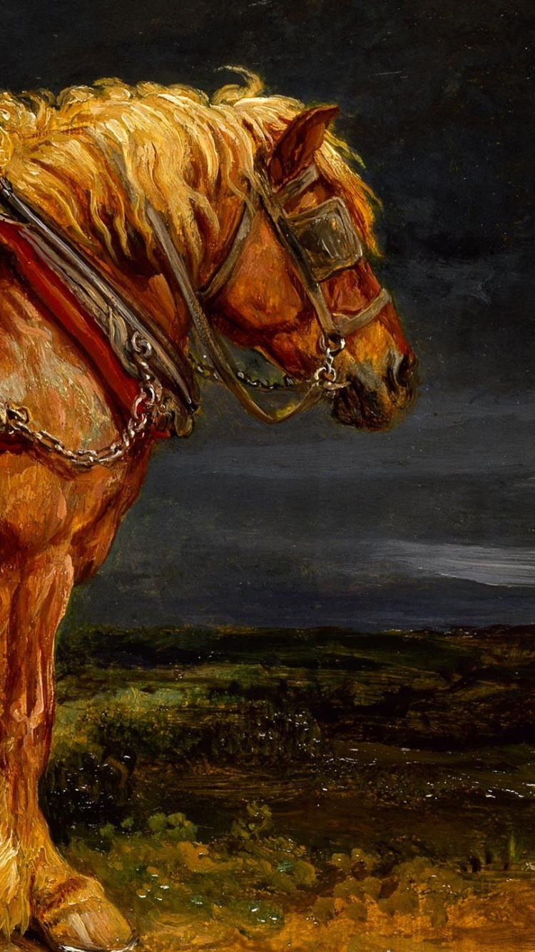 Обои проект лошадь, живопись, грива, жеребец, кобыла в разрешении 750x1334