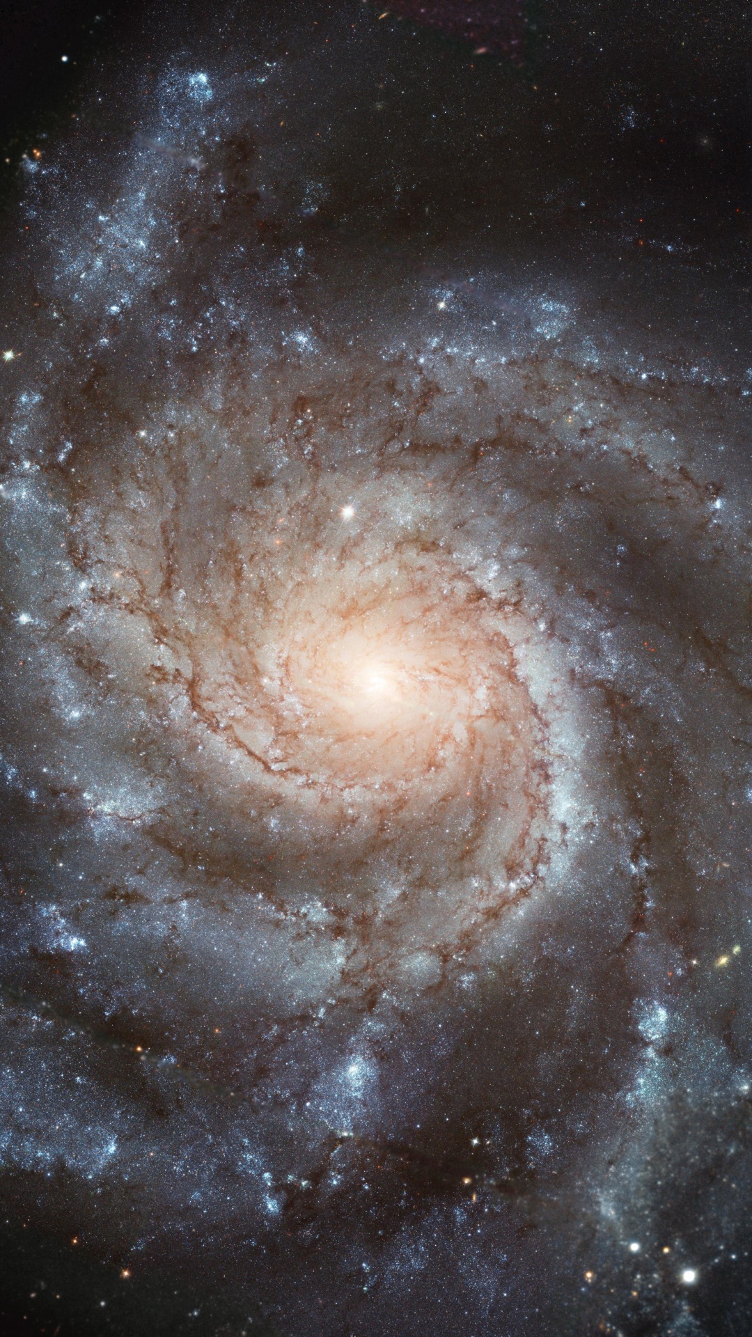 Обои Галактика Вертушка, Галактика, спиральная Галактика, космический телескоп Хаббл, Астрономия в разрешении 1080x1920
