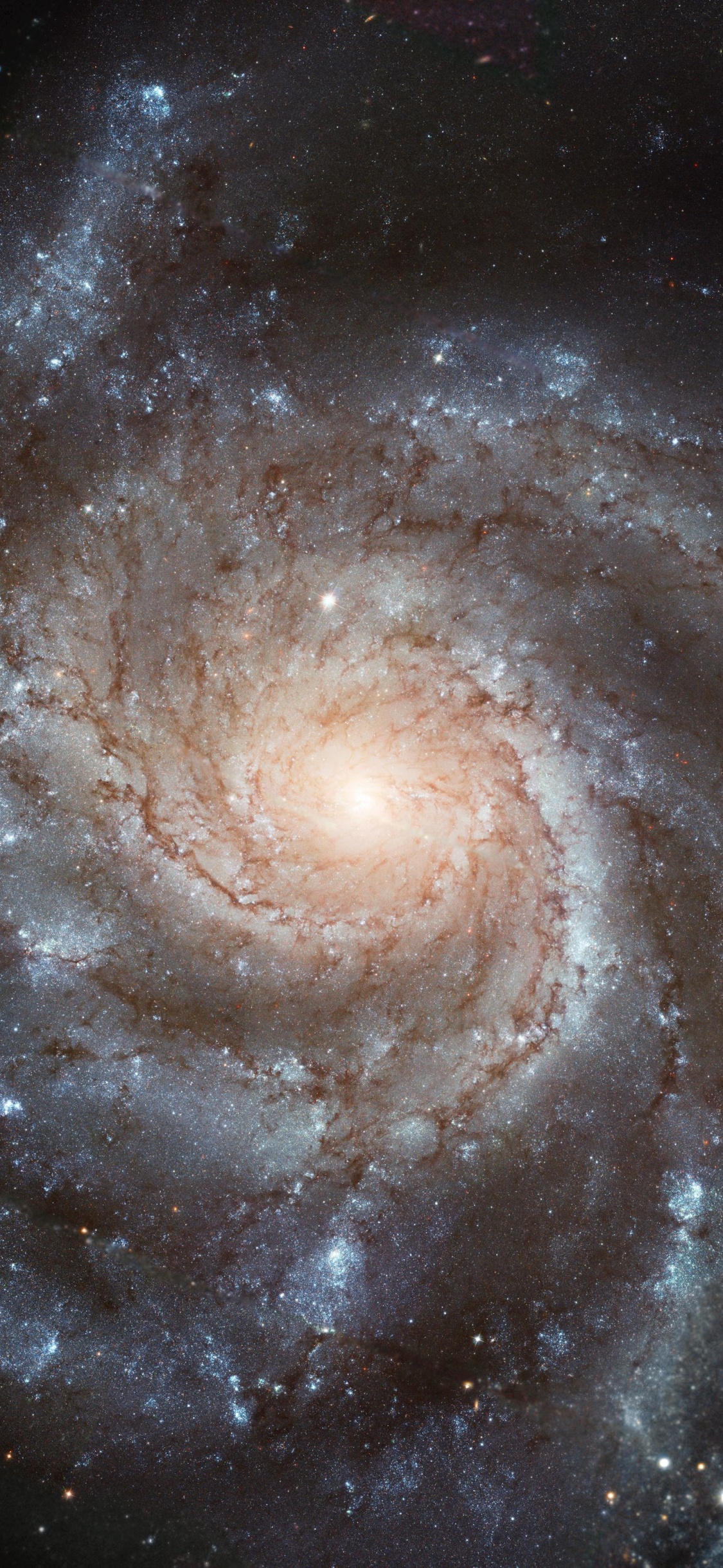 Обои Галактика Вертушка, Галактика, спиральная Галактика, космический телескоп Хаббл, Астрономия в разрешении 1125x2436