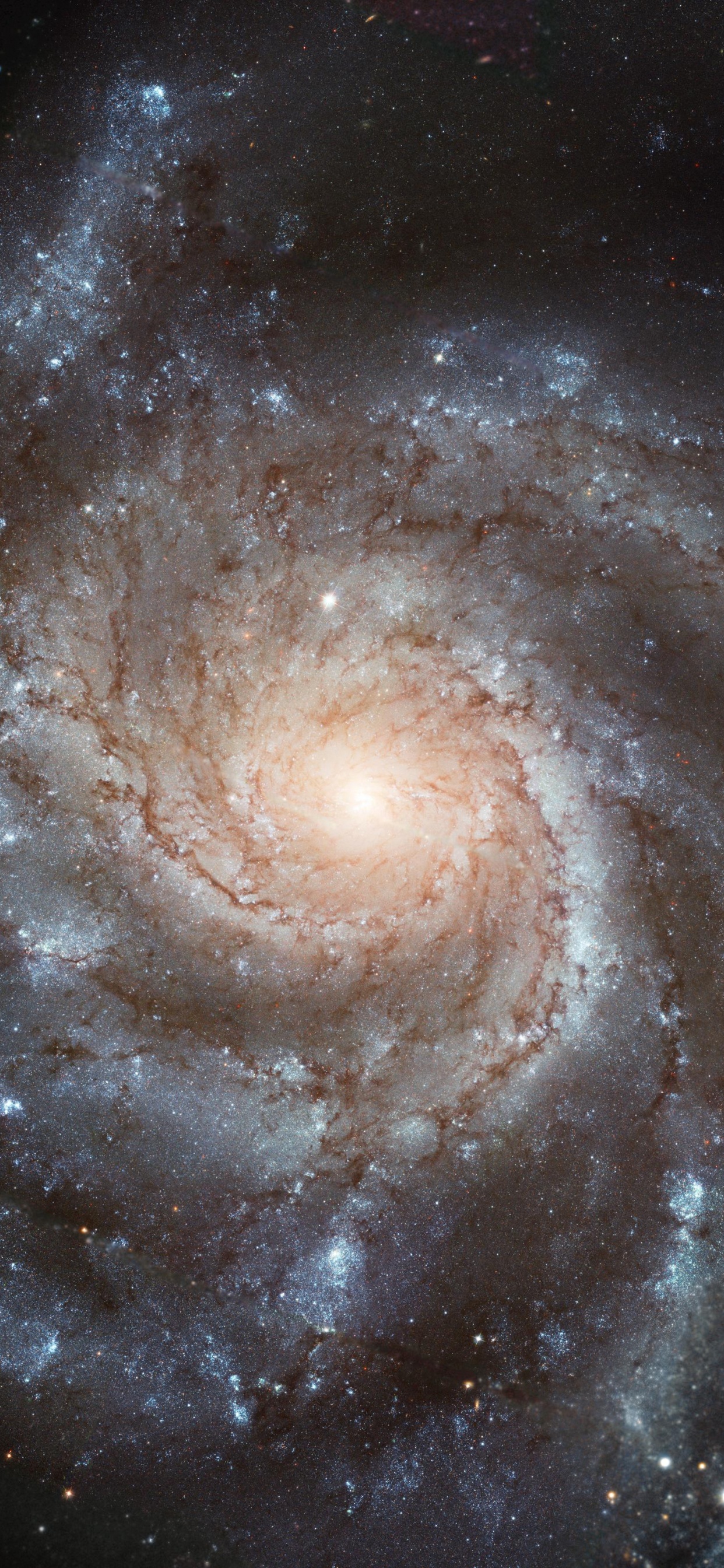 Обои Галактика Вертушка, Галактика, спиральная Галактика, космический телескоп Хаббл, Астрономия в разрешении 1242x2688