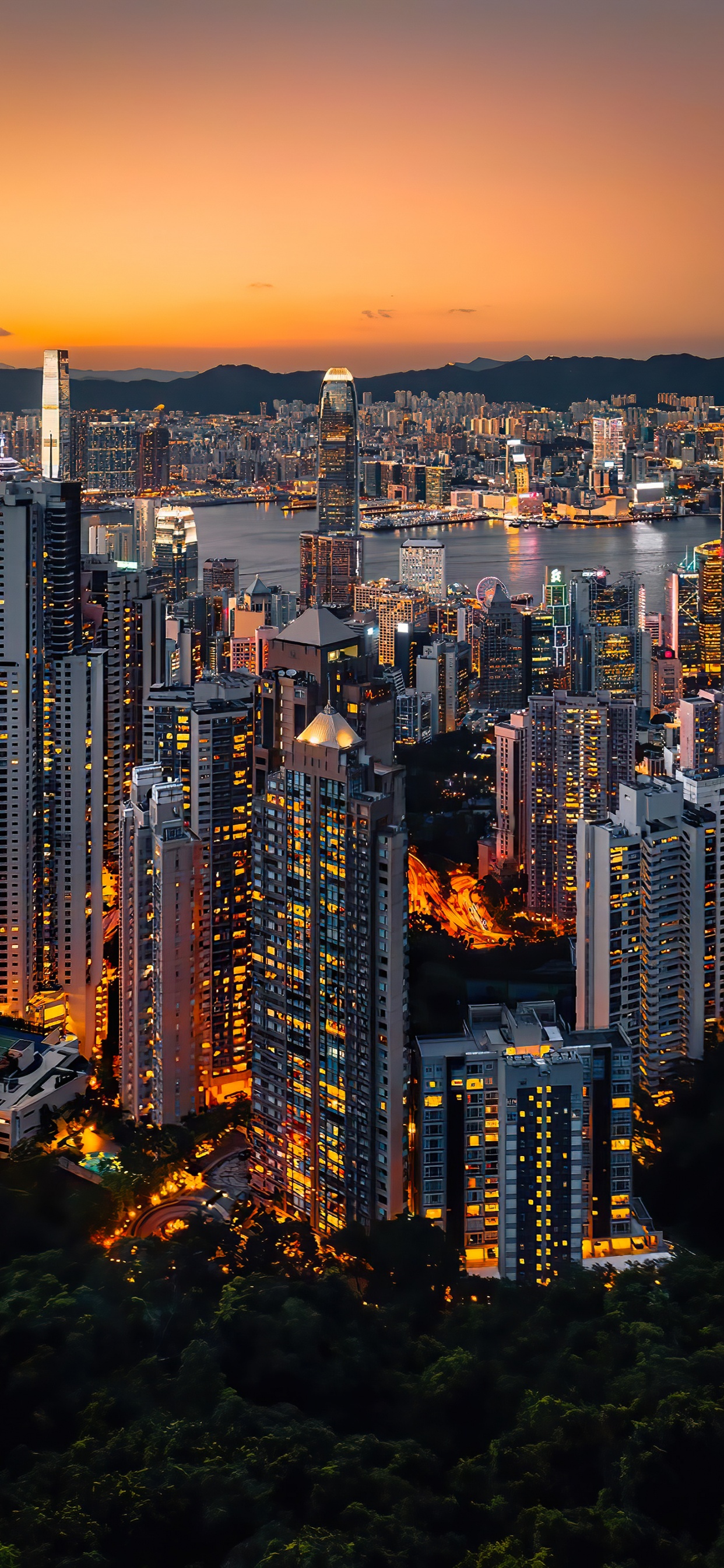 Обои небоскреб, здание, атмосфера, дневное время, свойство в разрешении 1242x2688