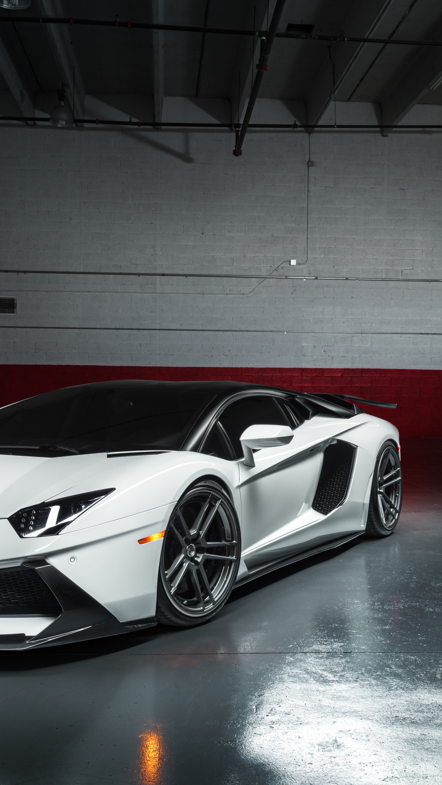 Обои Ламборгини авентадор, Ламборджини, авто, спорткар, lamborghini gallardo в разрешении 1440x2560