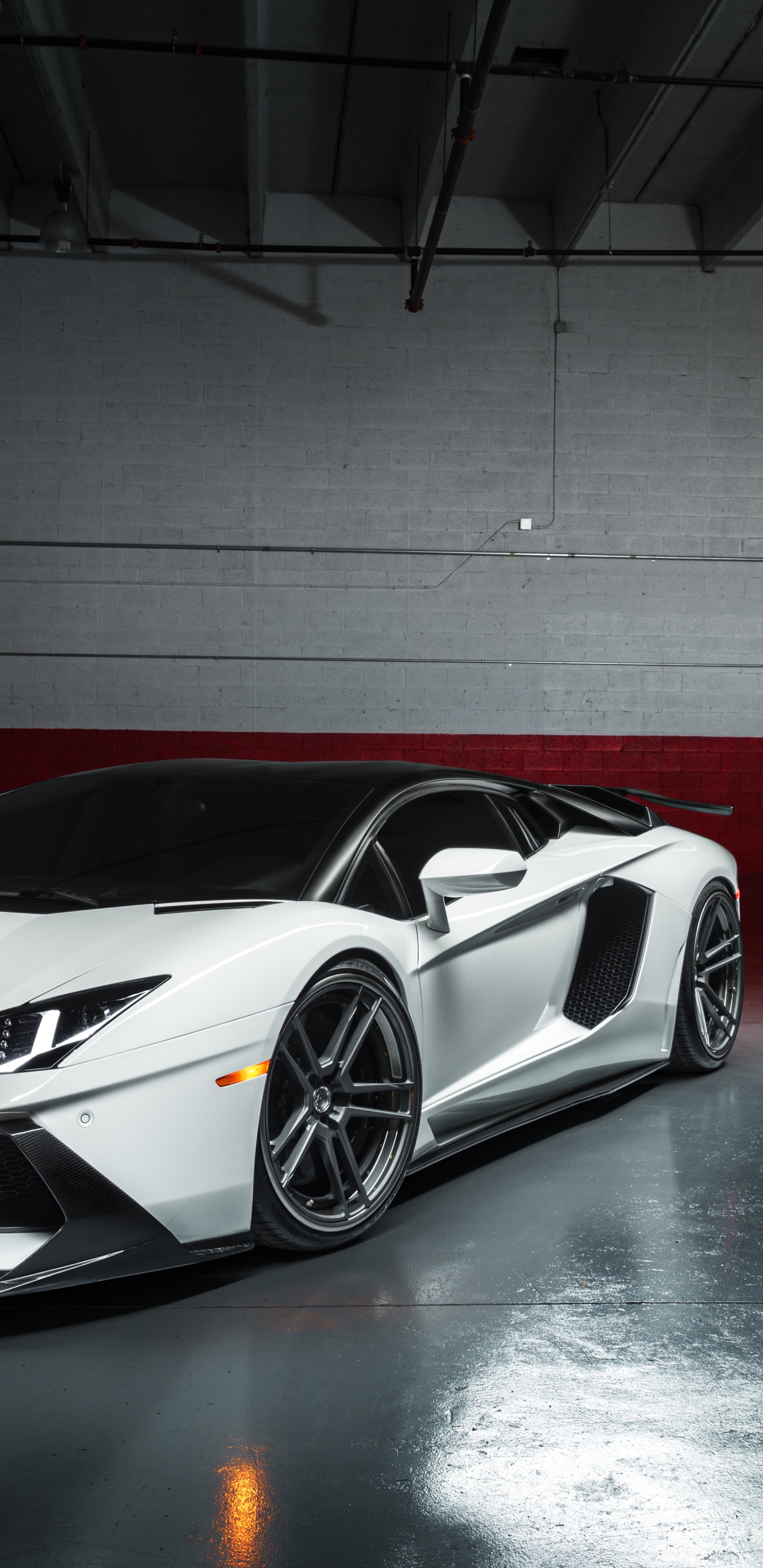 Обои Ламборгини авентадор, Ламборджини, авто, спорткар, lamborghini gallardo в разрешении 1440x2960