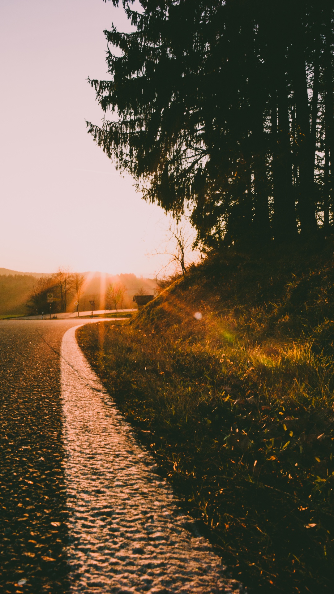 Обои дорога, утро, закат, восход солнца, природа в разрешении 1080x1920