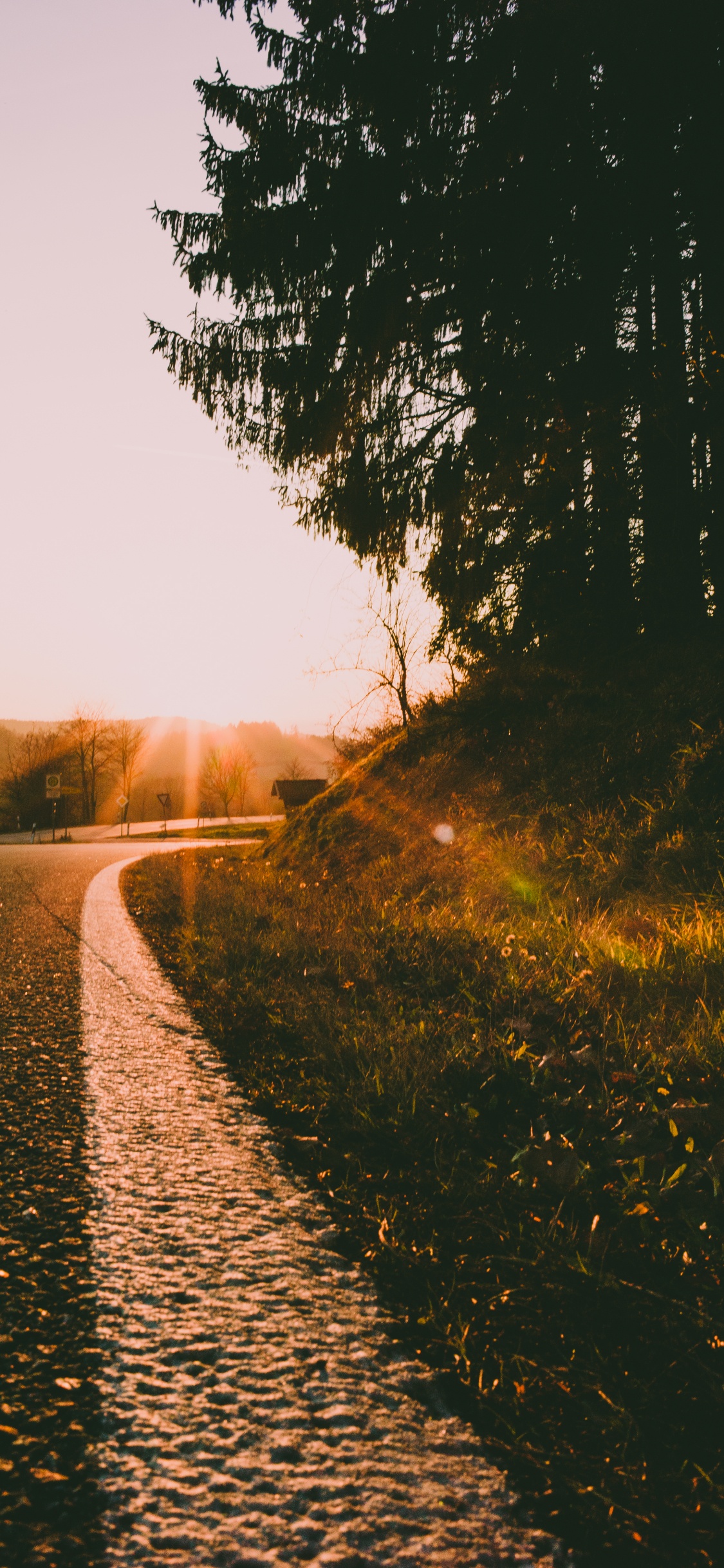 Обои дорога, утро, закат, восход солнца, природа в разрешении 1125x2436