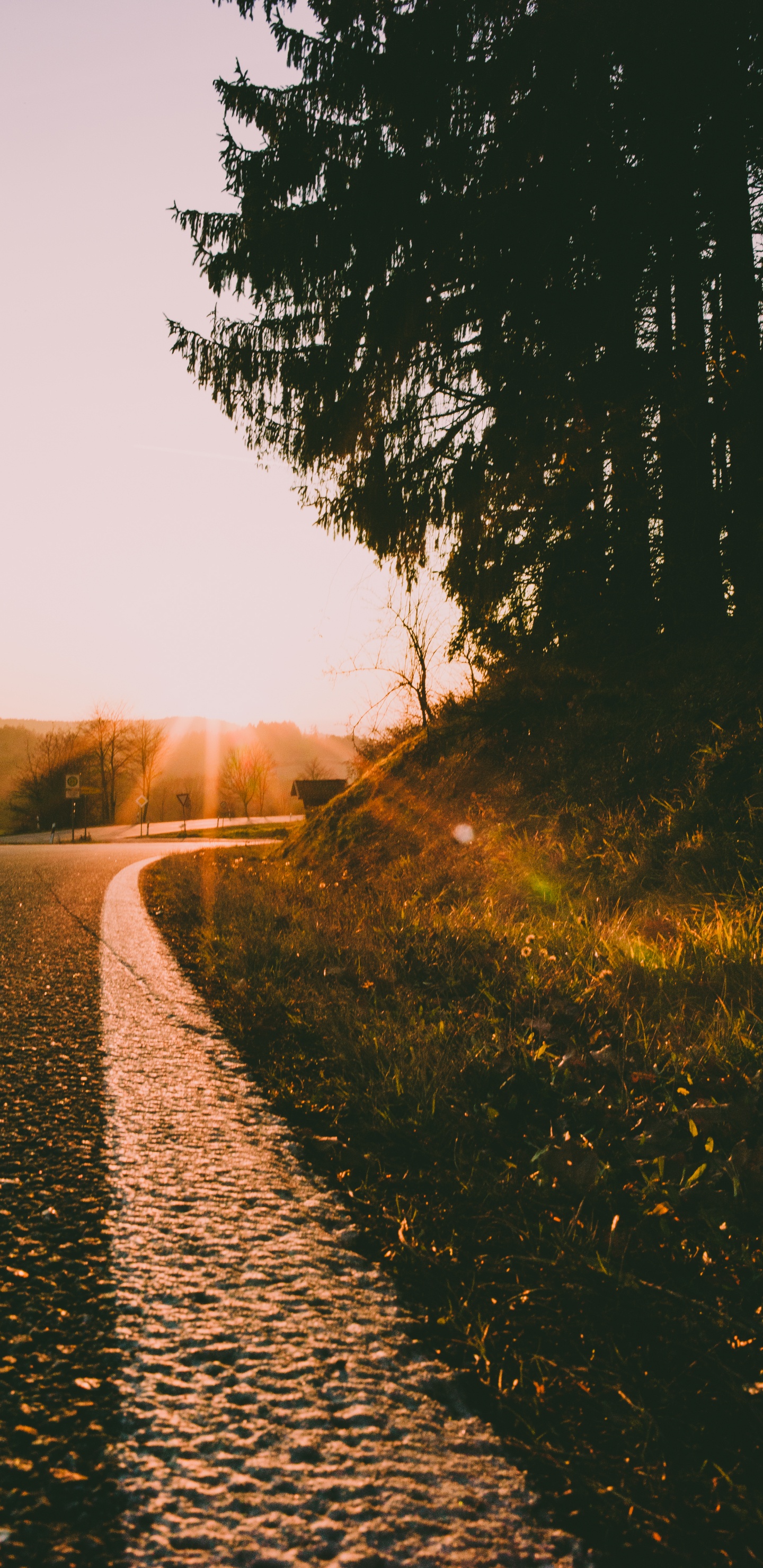 Обои дорога, утро, закат, восход солнца, природа в разрешении 1440x2960