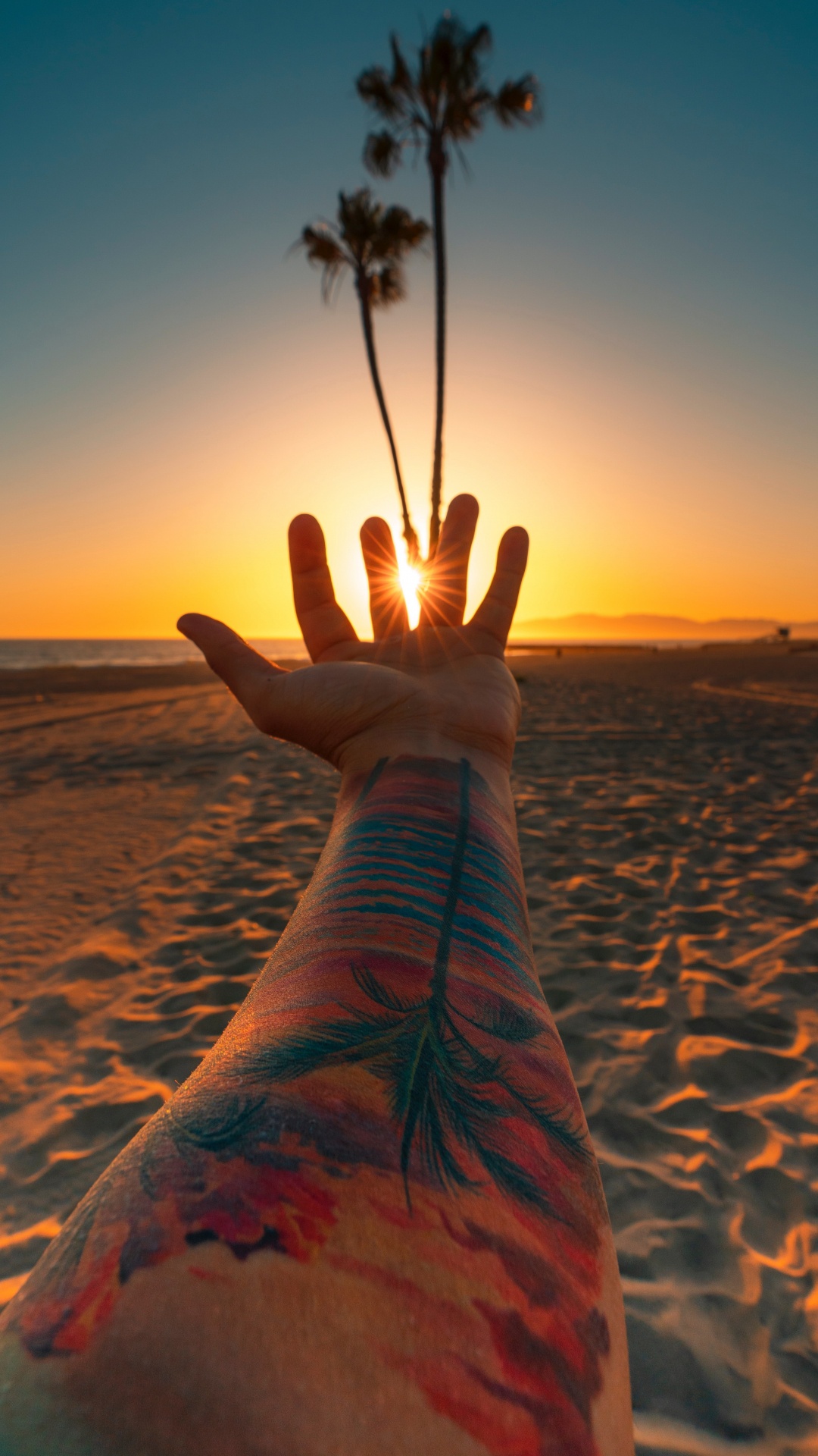 Обои пляж, Лос-Анджелес, закат, вода, татуировка в разрешении 1080x1920