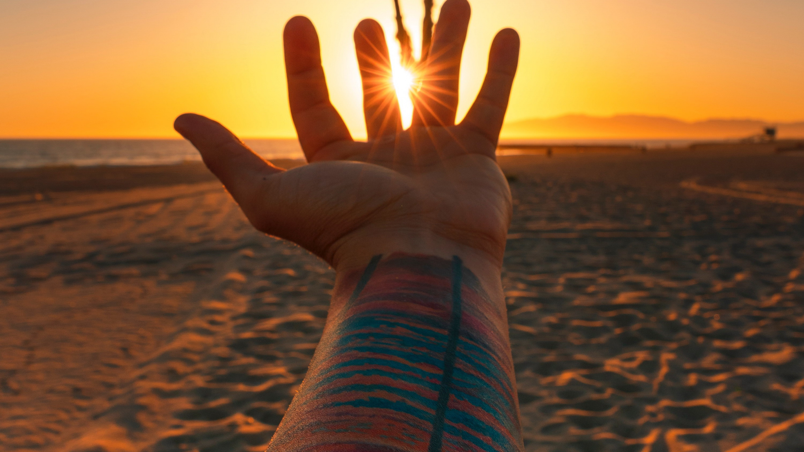 Обои пляж, Лос-Анджелес, закат, вода, татуировка в разрешении 2560x1440