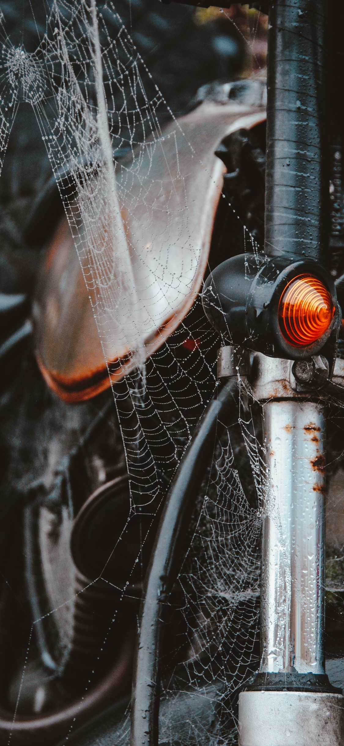 Обои мотоцикл, паутина, Король, свет, вода в разрешении 1125x2436