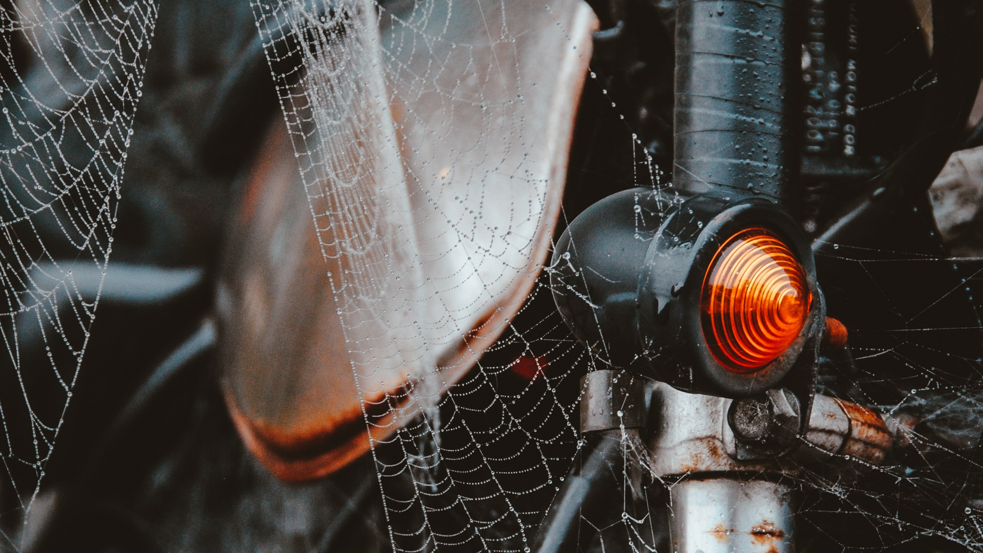 Обои мотоцикл, паутина, Король, свет, вода в разрешении 1920x1080