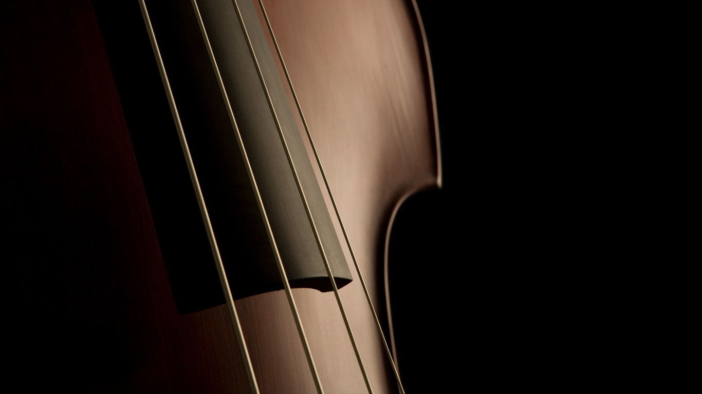 Обои контрабас, виолончель, басгитара, скрипка, струнный инструмент в разрешении 1366x768