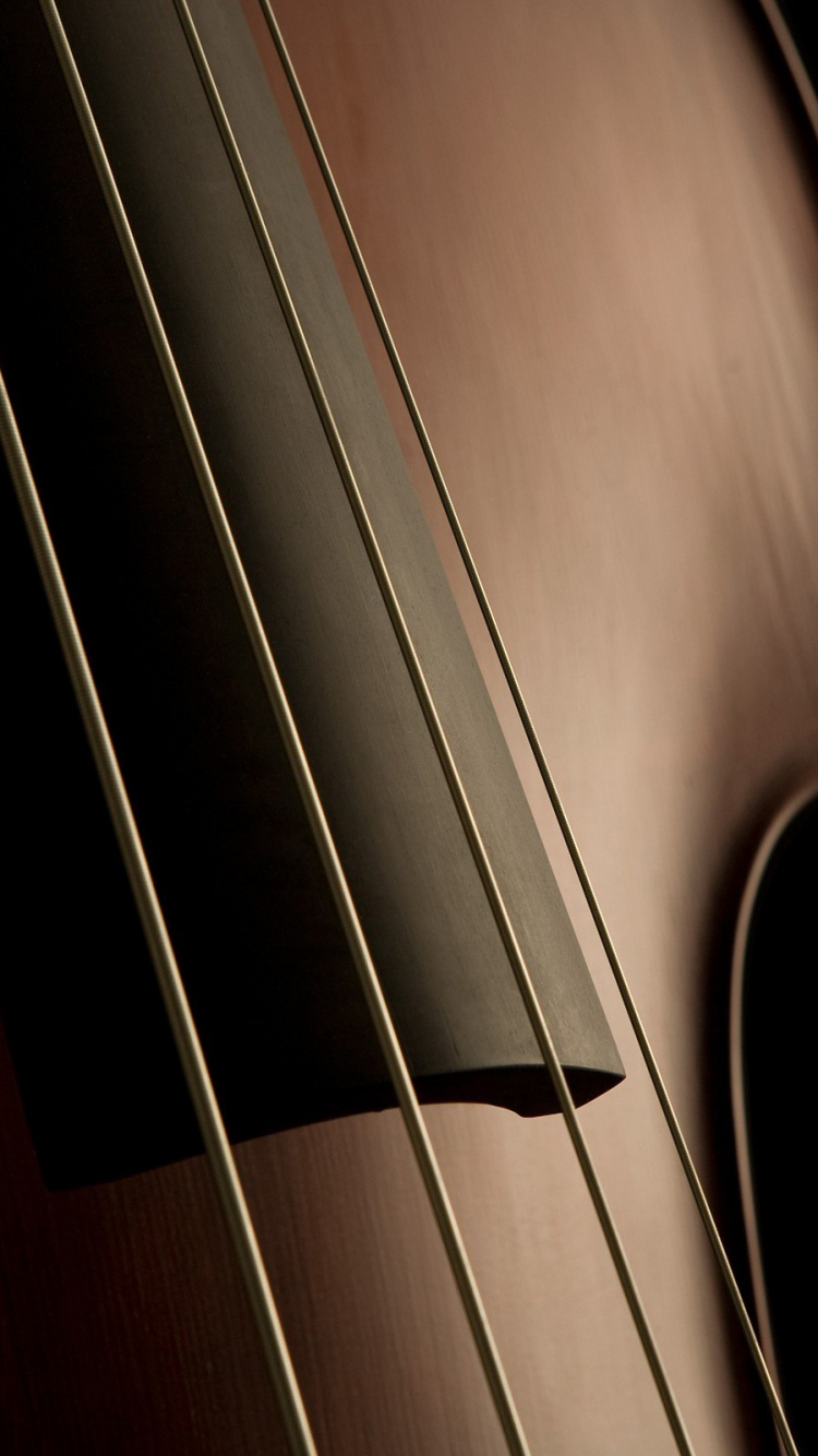 Обои контрабас, виолончель, басгитара, скрипка, струнный инструмент в разрешении 750x1334