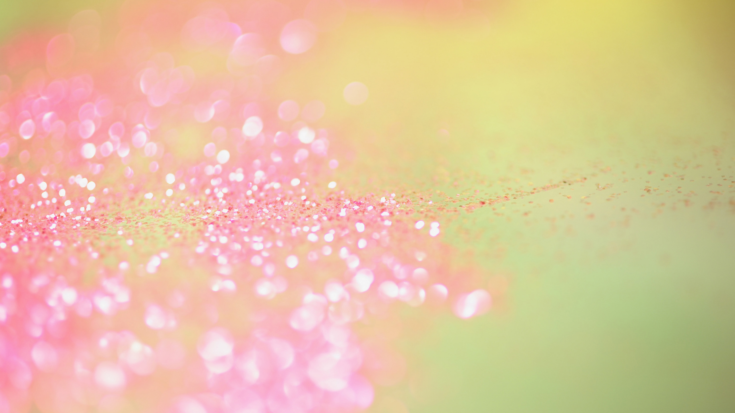 Обои роман, розовый, зеленый, свет, вода в разрешении 2560x1440