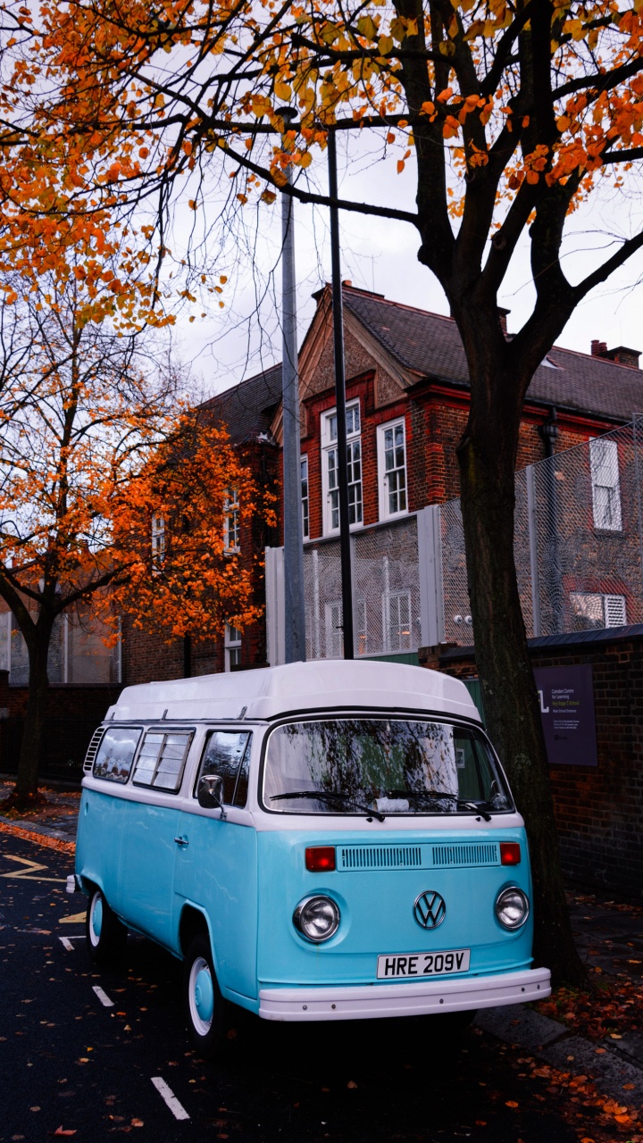 Обои дерево, панберы, день свадьбы, моя любовь, шина в разрешении 720x1280